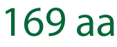 Longest peptide synthesis is 169 amino acid. 169 aa long peptide
