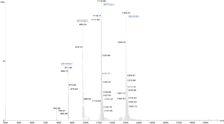 Peptide synthesis: FITC modification mass spectrometry result Peptide synthesis: FITC modification mass spectrometry result