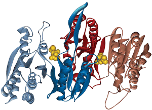 Long peptide synthesis for receptor binding Long peptide synthesis for receptor binding
