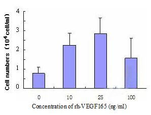 LifeTein Proliferation of HUVECs examined by means of increased cell number in the presence of rh-VEGF165 for 96h Proliferation of HUVECs examined by means of increased cell number in the presence of rh-VEGF165 for 96h