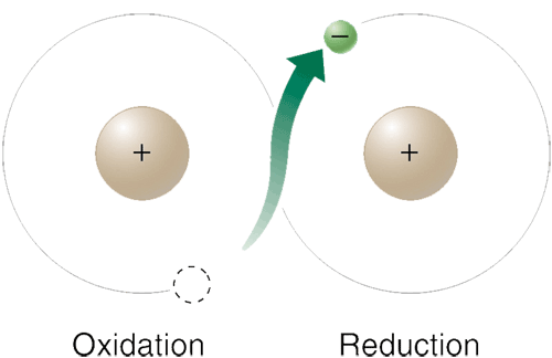Synthetic peptides in sealed bags Why seal Peptides