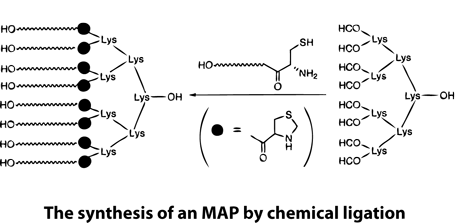 Peptide synthesis: multiple antigenic peptides by chemical ligation Peptide synthesis: multiple antigenic peptides by chemical ligation