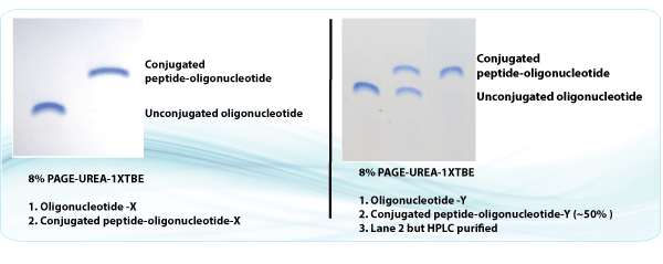Peptide synthesis: peptide oligonucleotide conjugates Peptide synthesis: peptide oligonucleotide conjugates