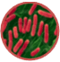 Protein Expression in E.coli Protein Expression in E.coli