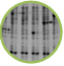 Protein Purification Protein Purification